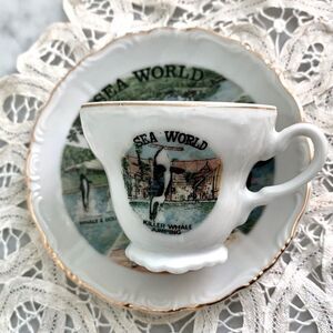 Sea World Tea Cup Saucer Set Florida Souvenir Mini Collectible Kelvins Japan